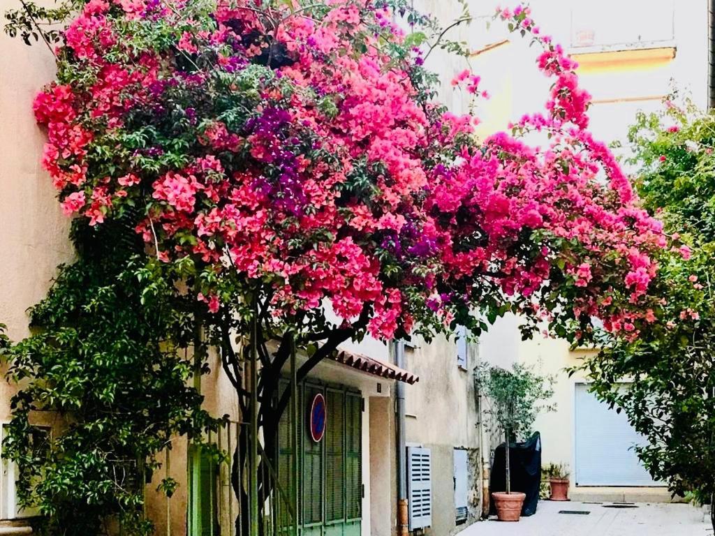 Le Caillou A La Ponche St Tropez Apartment แซ็ง-ทรอเป ภายนอก รูปภาพ
